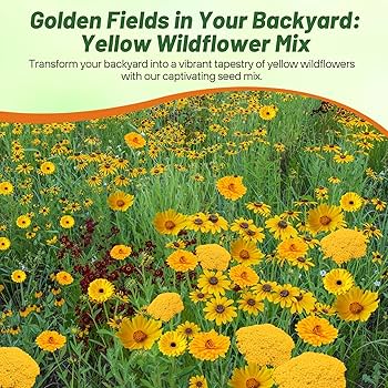 Amazon.com : Outsidepride Yellow Color Shades Mix Wildflower